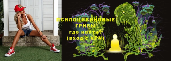 ПСИЛОЦИБИНОВЫЕ ГРИБЫ Мегион