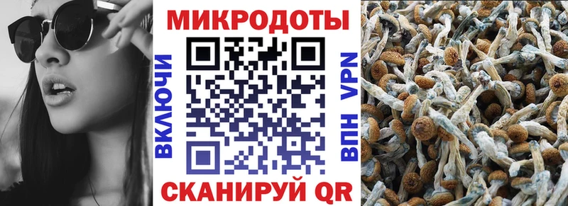 Купить закладки  Зарайск  Галлюциногенные грибы Magic Shrooms 